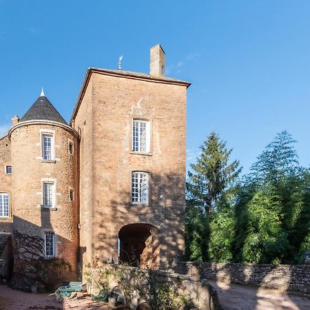 Chateau De Salornay Hurigny Экстерьер фото